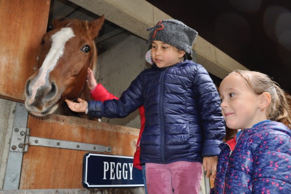 Paardencoaching