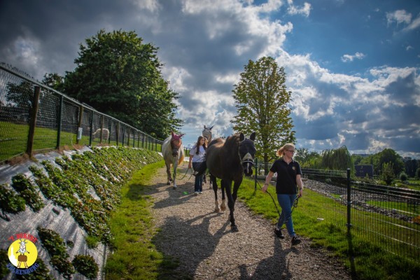 Paardenfeestje - Paard rijden