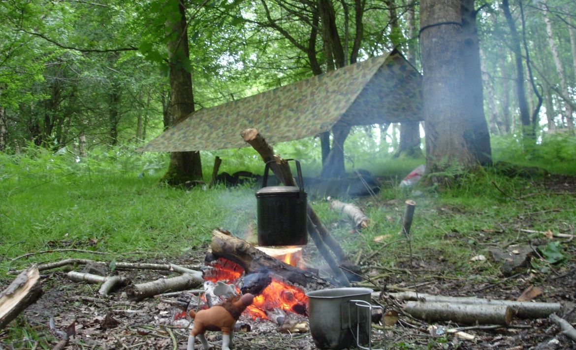 Een nacht in het bos